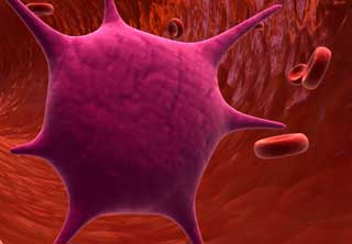 maui oral surgery platelet rich plasma